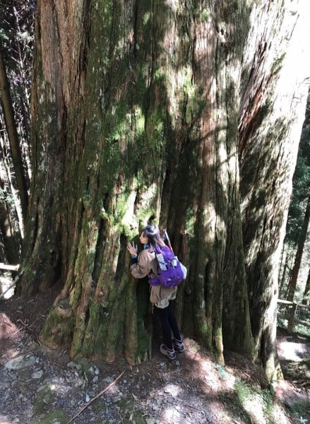 2017.10.28 檜山巨木群步道447773