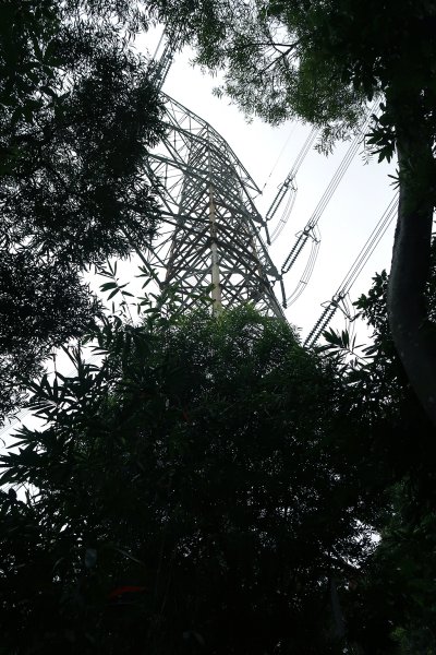 烏山嶺水利古道2799214