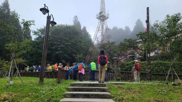 2023-0910 阿里山塔山步道2284433