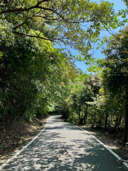 新北｜瑞芳．雙溪 淡蘭古道中路．暖東舊道（TK2-1~2-5 暖東峽谷步道、暖東舊道、五分山步道）2004166