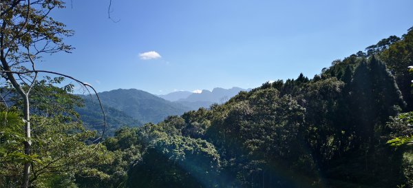 2025/11/22_大分林山步道2944215