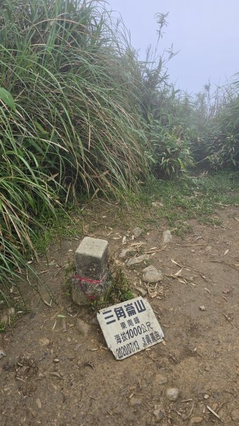 20260508 小百岳-宜蘭礁溪三角崙山(抹茶山)3050503