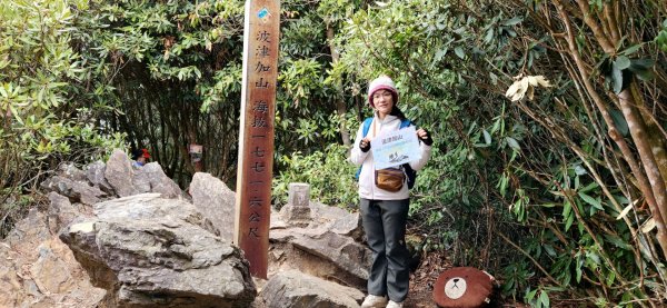 波津加山，太平蝙蝠洞延伸步道，福田賞桐生態步道，美崙山步道，台東鯉魚山2005058