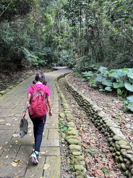 挑水古道附近古道串聯+藤山步道202505032784332