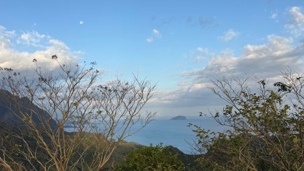 新北 瑞芳 黃金八稜七稜O型2956151