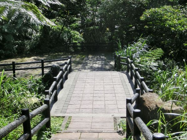 姜子寮山．泰安瀑布．鐵道公園105802