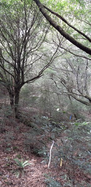 白姑大山之旅743406