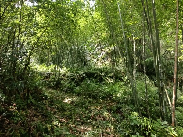 雙溪區柑腳城威惠廟+柑腳城山(下坑山)去回2796653