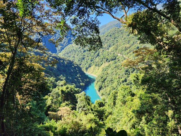 新北烏來｜內洞國家森林遊樂區步道群2904736