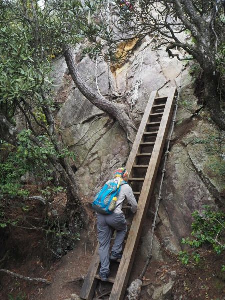 台中鳶嘴山20180406304847