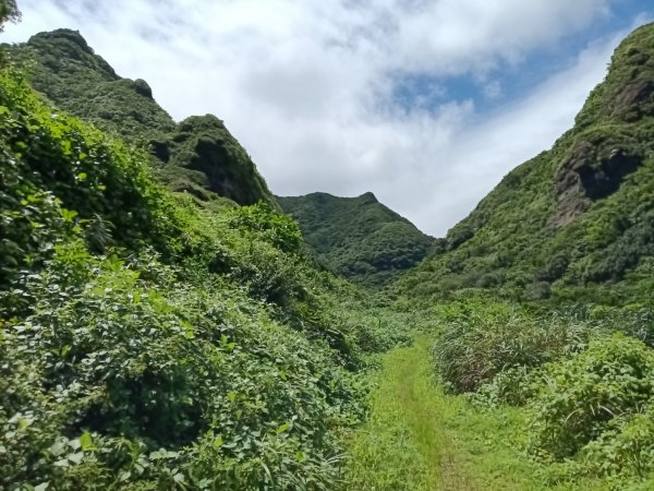 瑞芳區黃金8.5稜+南雅山O型2866450