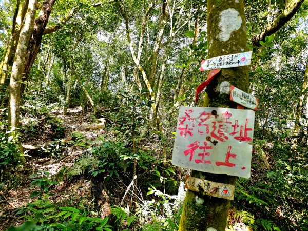 鳴海山-小百岳#71-高雄市茂林區2930864