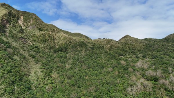 2025.11.29－草嶺古道芒花季2955984