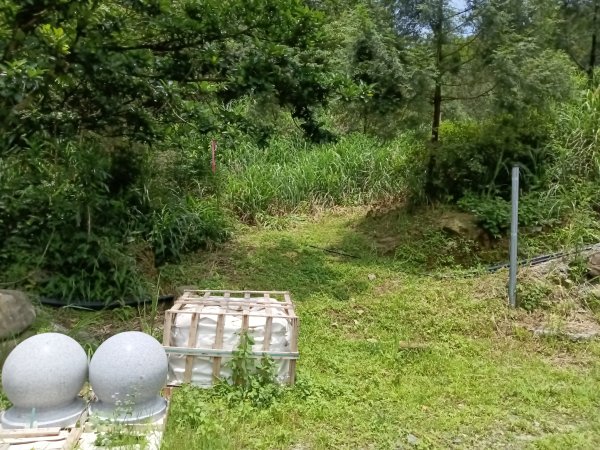 雙溪區大埤遺址東林寺+大埤古道+572峰去回2784163