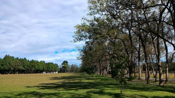 南投松柏坑山，登廟步道，賞茶步道，七星陣地公園，日月潭，彰化石牌坑古道1681291