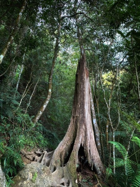 2021.03.14 「水社大山 」1307252