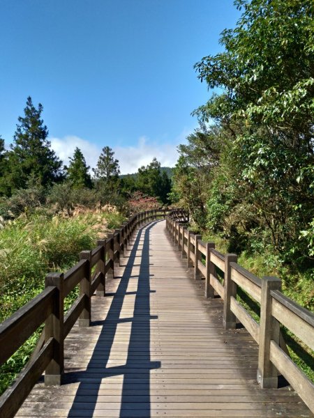 湖光山色－翠峰湖環山步道708054