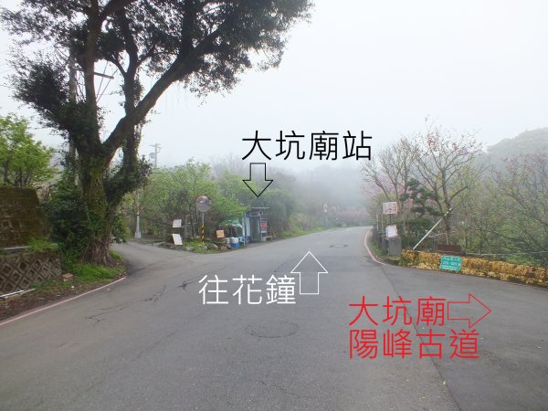 古道水圳賞櫻花2733434