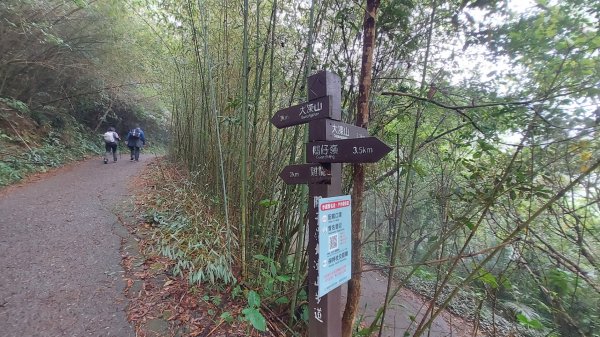 臺南白河關子嶺雞籠山步道1571879