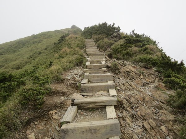 合歡山東峰-尖山-小奇萊-石門山2513163