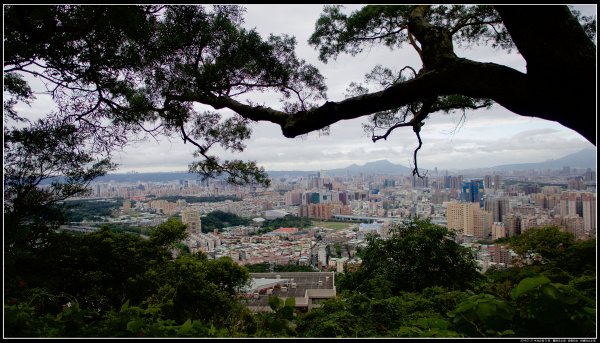 中和步道：圓通寺步道-南勢角山596649