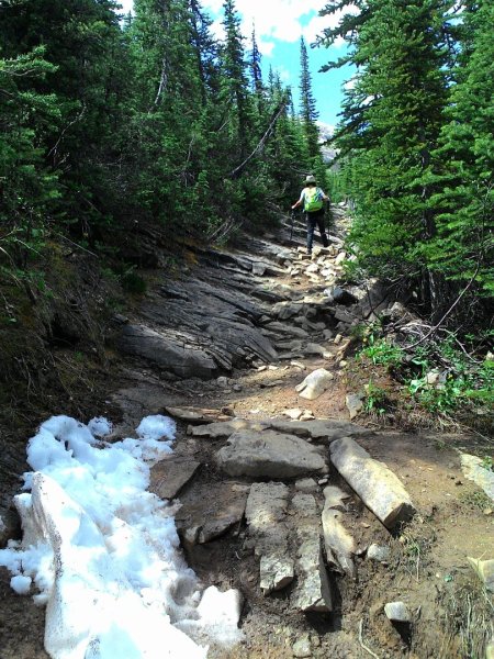 Iceline Trail (YOHO 加拿大幽鶴國家公園)2634586