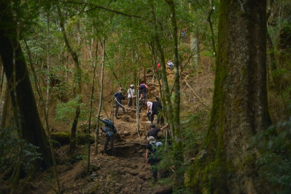 馬崙山步道2085825