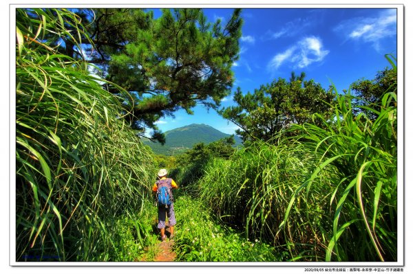 北投鳳梨宅-永春寮-中正山-竹子湖連走1092803