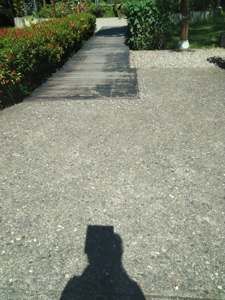 霄裡好風光,運動樂悠遊-大湳森林公園2814919