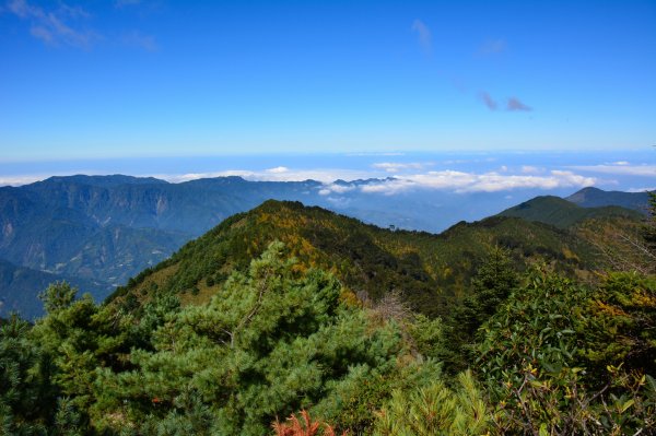 郡大山1902241