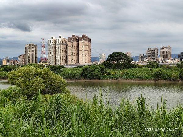 【臺北大縱走 8】萬壽橋頭(木柵)公車站→捷運關渡站［河濱自行車道］2881986