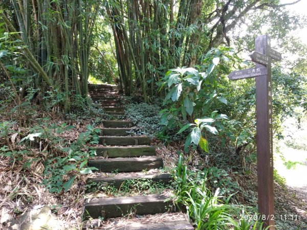 步道巡訪員 l 崁頭山步道巡訪員8月份巡禮1054212