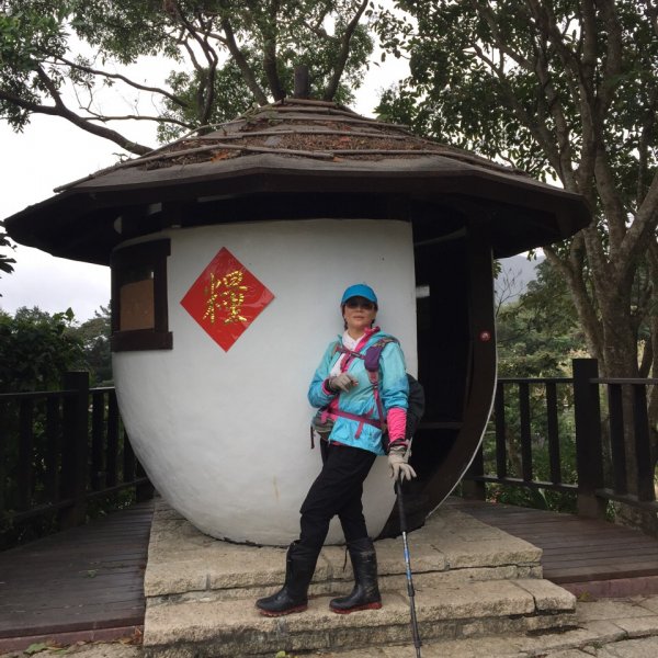 北縱七段抓了10隻博蒂742209