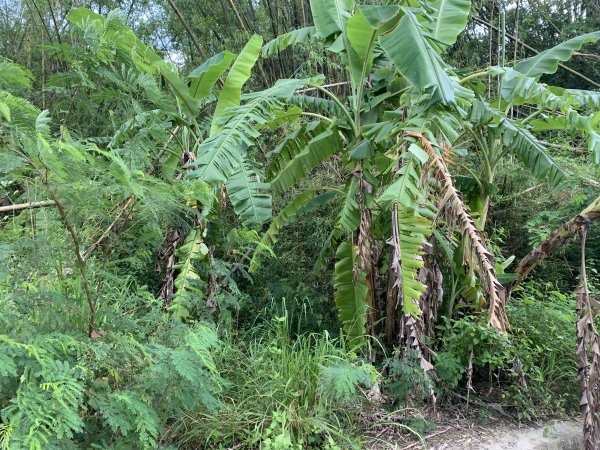 20250830高雄新鳥山2877043