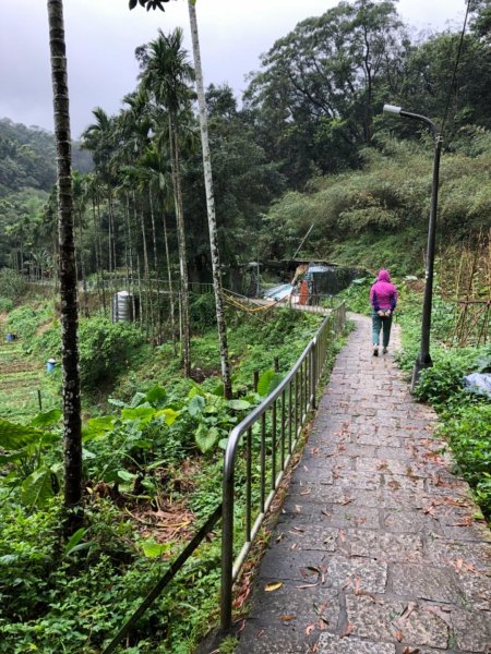 南港山縱走（中華科大登山口—象山）550412