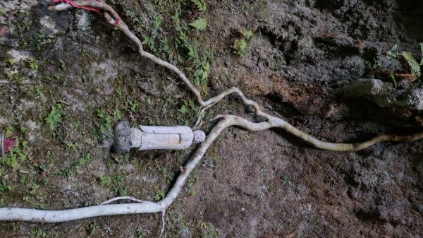 孝子山慈母峰普陀山1117053