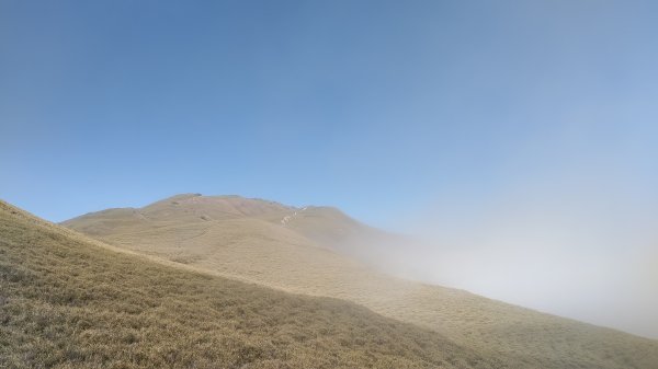 武法奈尾山1946722