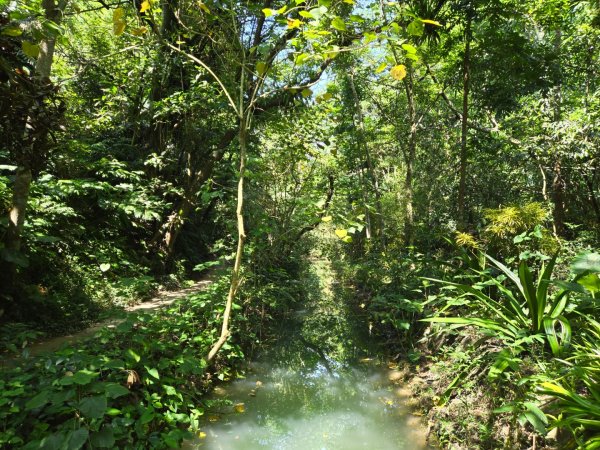 蘭潭後山步道、紅毛埤山（小百岳）2606391