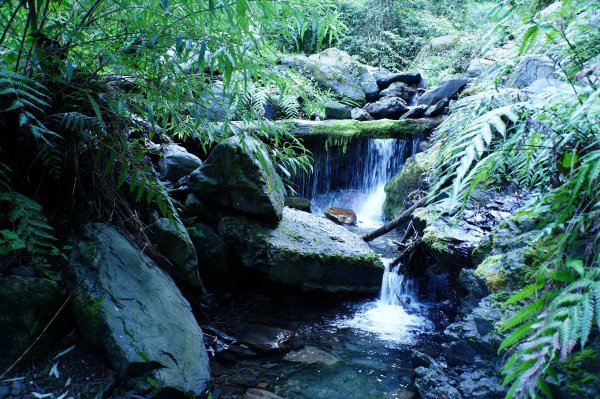 宜蘭 大同 加羅山2890263