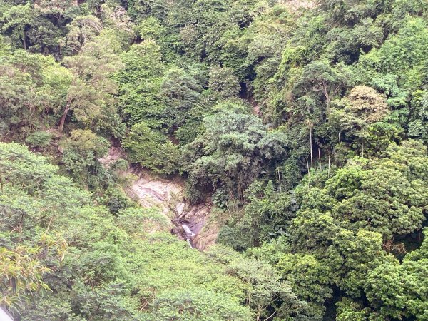 獨立山國家步道2615845