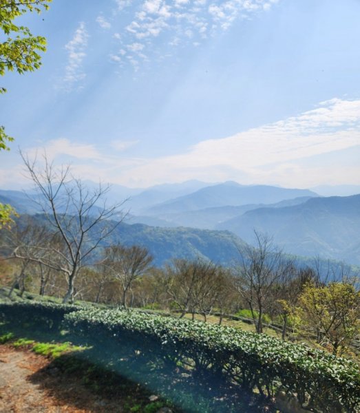 【中級山】邑治第一山，守城大山，連走守關山，守關山南峰2740897