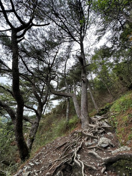 石瀑中行走登玉山前峰2208783