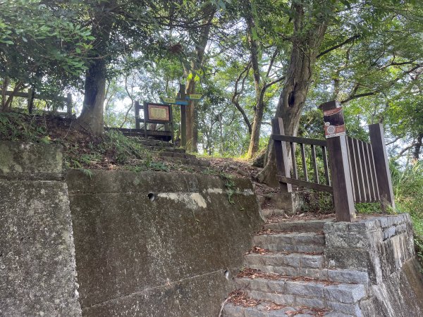 [皮皮獅Hike客任務-09/10] 2024_0831 南埔村觀音步道+挑水壢古道2586313