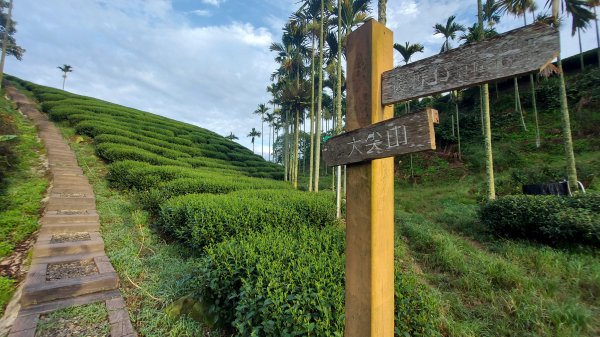 雲嘉九連峰1438910