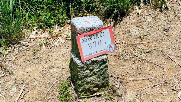 微笑山線百年大榕樹段2848406