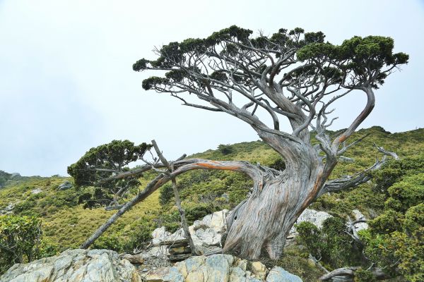 山裡的藍寶石--再走一趟迷人的嘉明湖　　145566