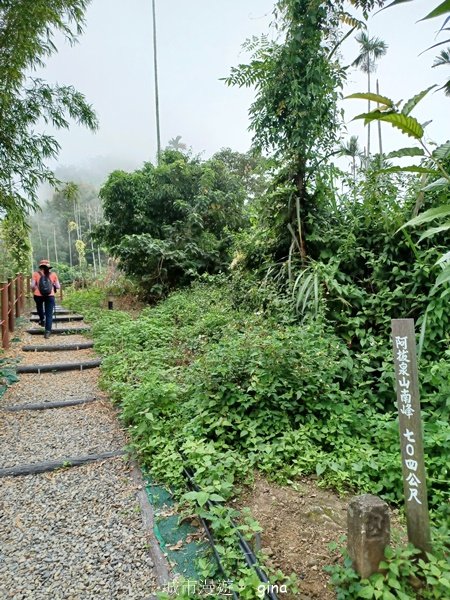 【嘉義竹崎】說好的稜線風景呢。阿拔泉山稜線步道連走獨立山O繞2684126