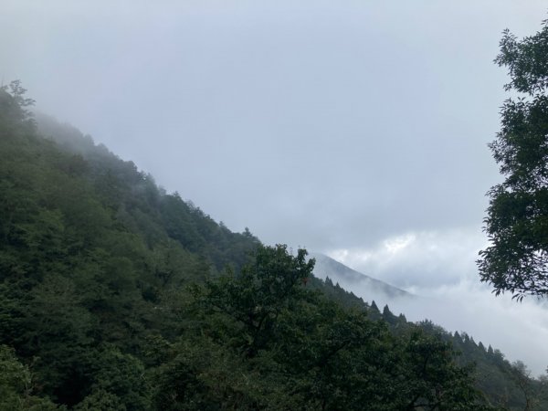 檜山巨木群森林步道2316170