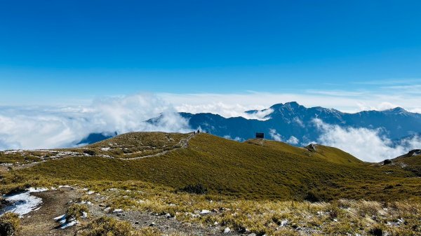 歡樂腳合歡北峰瑞雪2400969