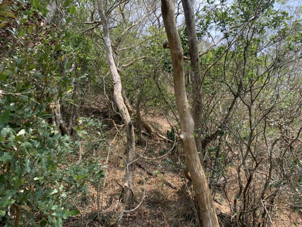 20250404屏東北獅子頭山-霧里乙山2757435